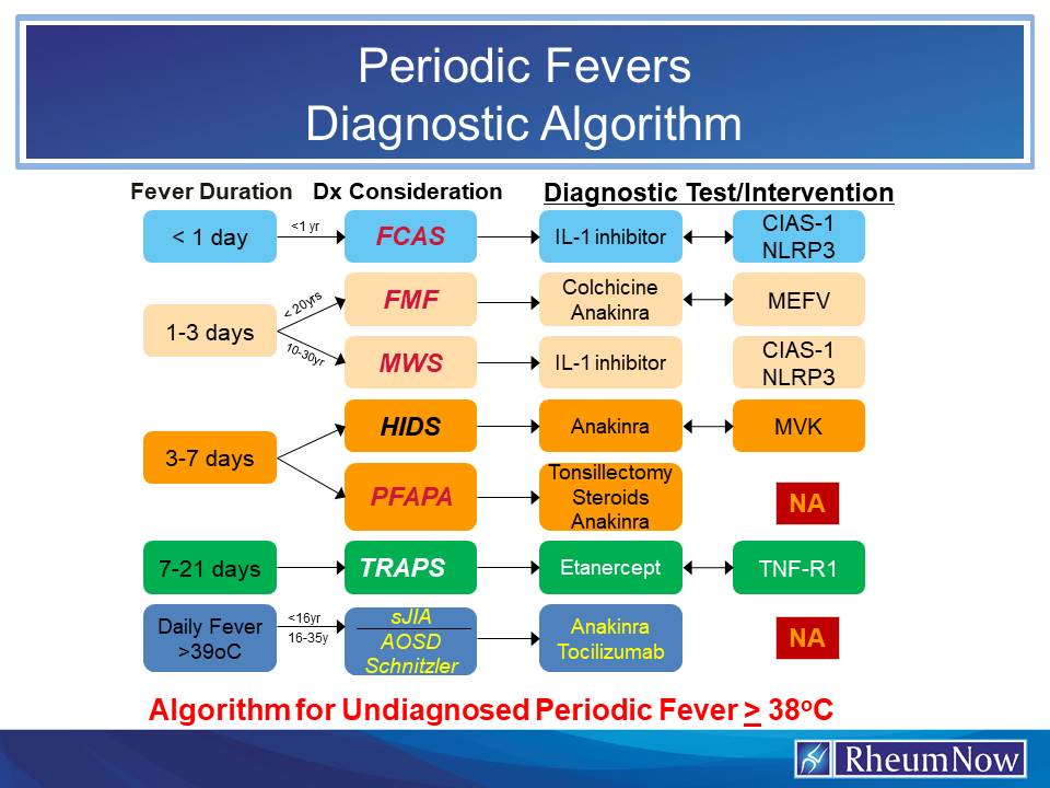 Periodic%20Fever%20algorithm_0.jpg