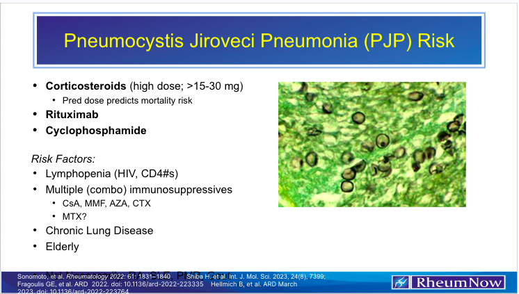 PJP Risk Cover Image
