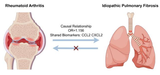 ILD.biomarkers