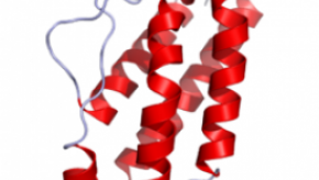 IL-2 inhibitor (keep)