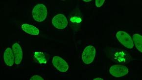 ANA.Wikipedia.jpg (keep)