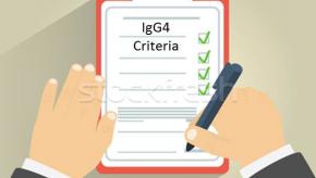 IgG4.jpg