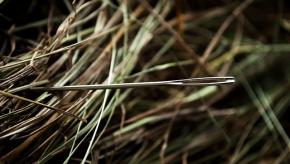 needle-1419606_640.jpg