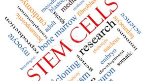 stemcells.jpg