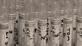 test-214244__180.jpg (keep)