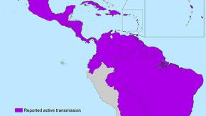 zika_americas_03-18-2016_sm.jpg