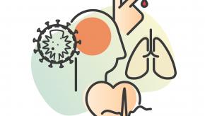 morbidity,covid,heart,lung,brain