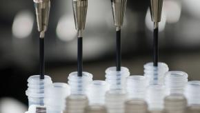 DNA,genotyping,gene,sequencing