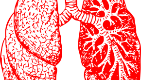 lungs,art,red