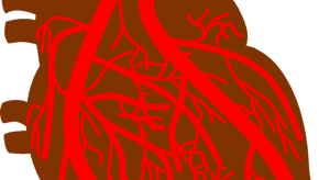 heart.coronary