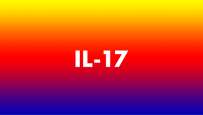 IL17