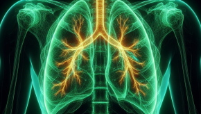 lung image