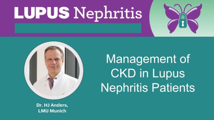 Management of CKD in Lupus Nephritis Patients