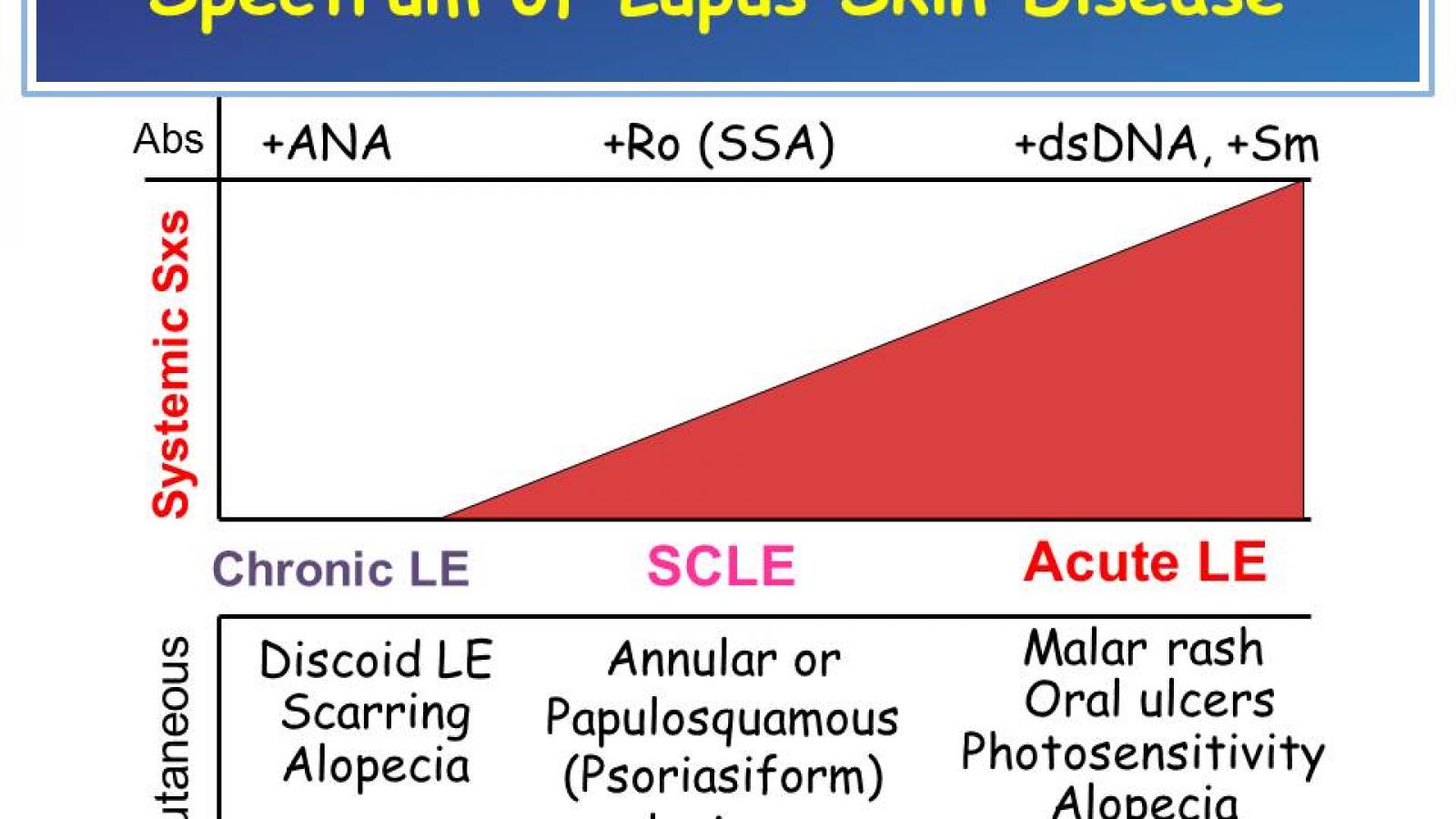 Lupus.spectrum.CLE_.jpg