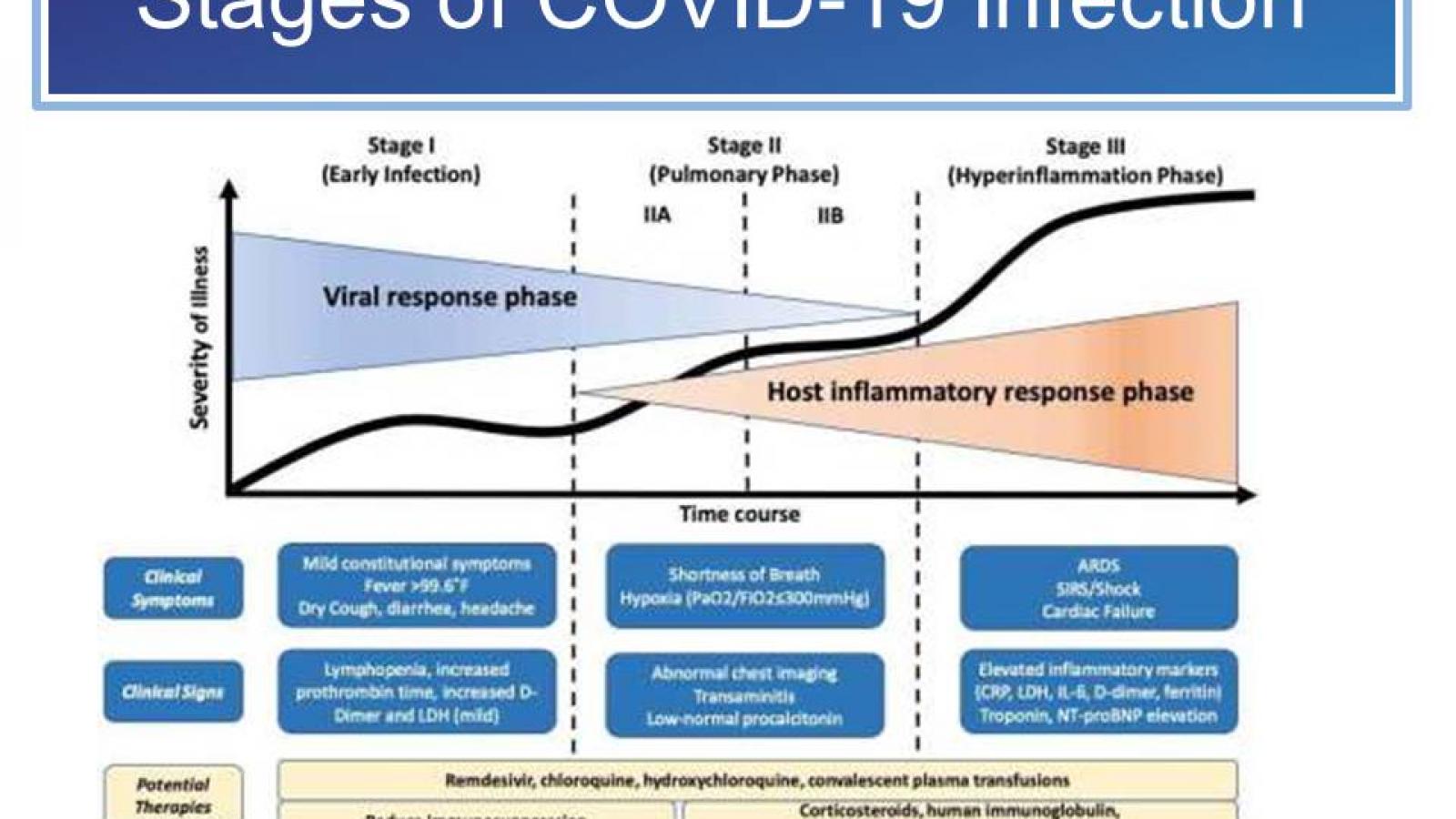 Covid.stages.jpg (keep)