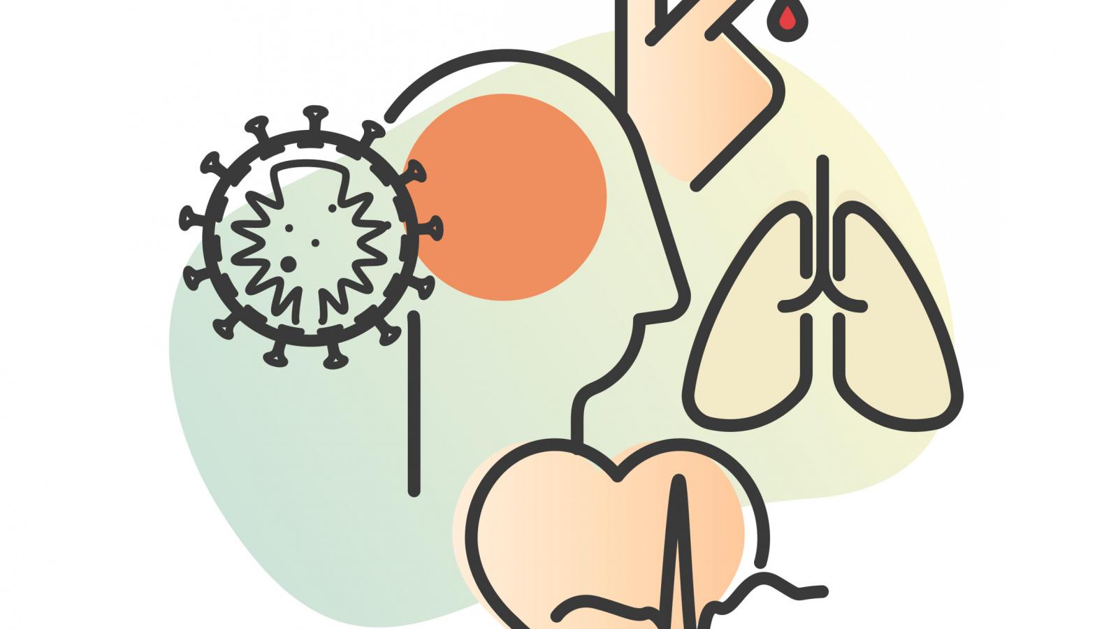 morbidity,covid,heart,lung,brain