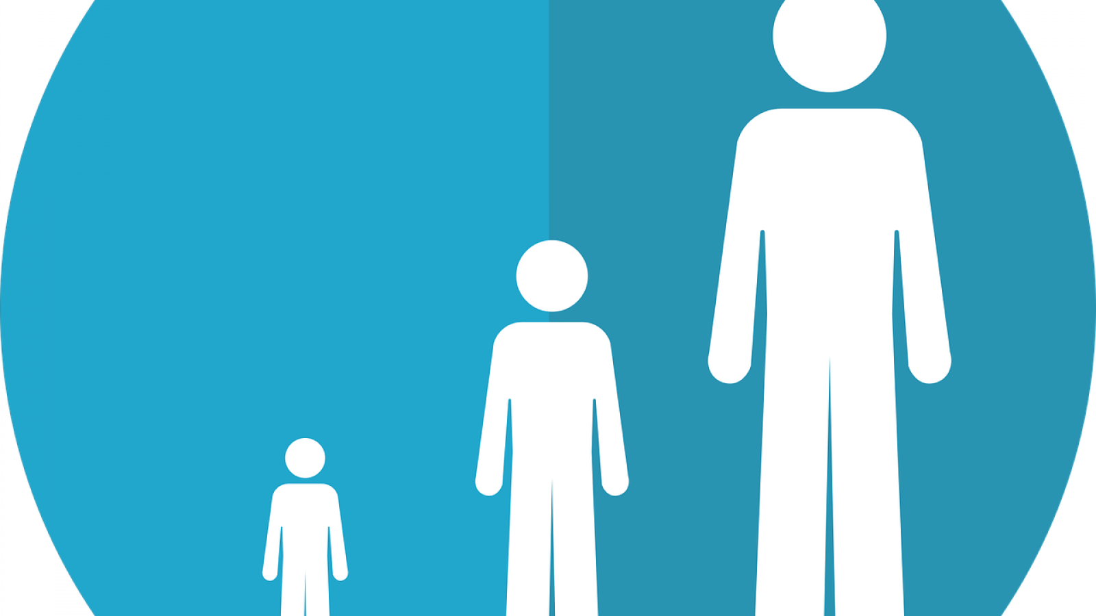 life,stage,age,lifespan